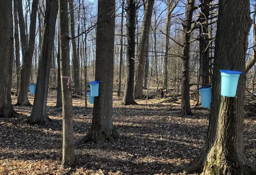 Aamiaismajoitus (B&B) Caledon Manor And Country Inn