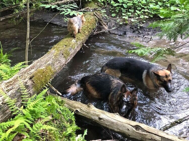 مبيت وإفطار Caledon Manor And Country Inn