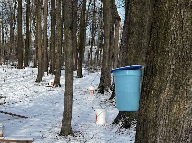 مبيت وإفطار Caledon Manor And Country Inn