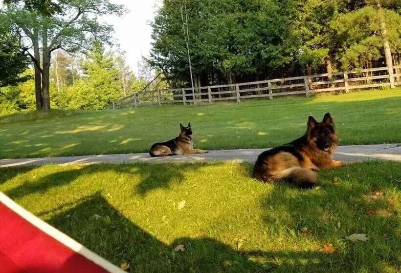 Aamiaismajoitus (B&B) Caledon Manor And Country Inn