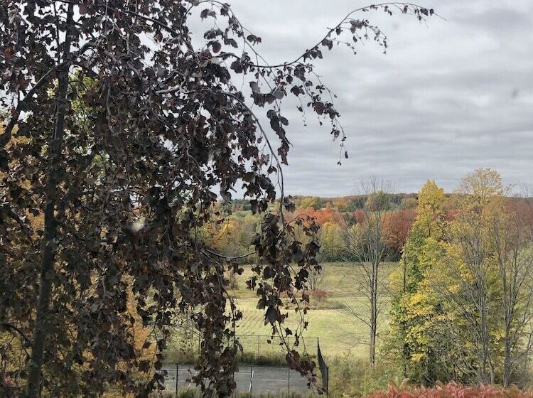 مبيت وإفطار Caledon Manor And Country Inn