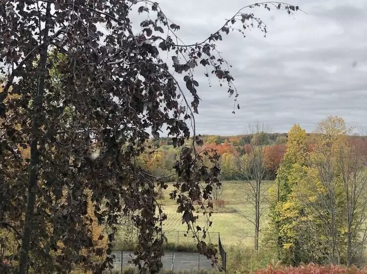 Aamiaismajoitus (B&B) Caledon Manor And Country Inn