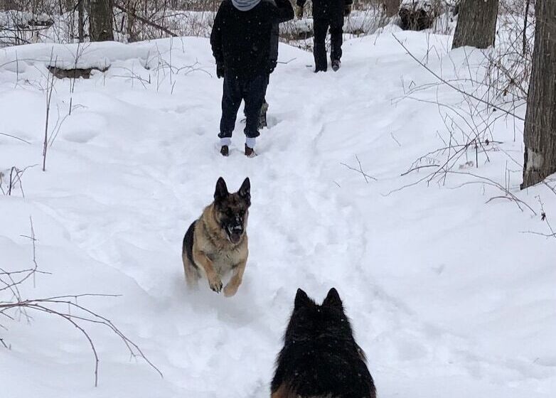 مبيت وإفطار Caledon Manor And Country Inn