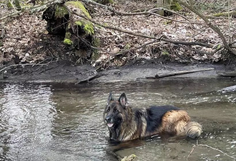 Aamiaismajoitus (B&B) Caledon Manor And Country Inn