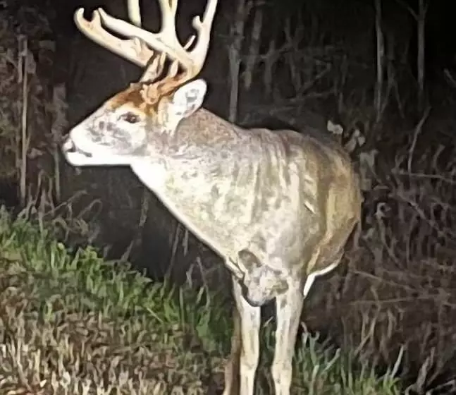 Aamiaismajoitus (B&B) Caledon Manor And Country Inn