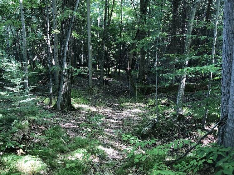 مبيت وإفطار Caledon Manor And Country Inn