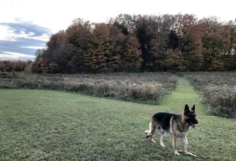 Aamiaismajoitus (B&B) Caledon Manor And Country Inn