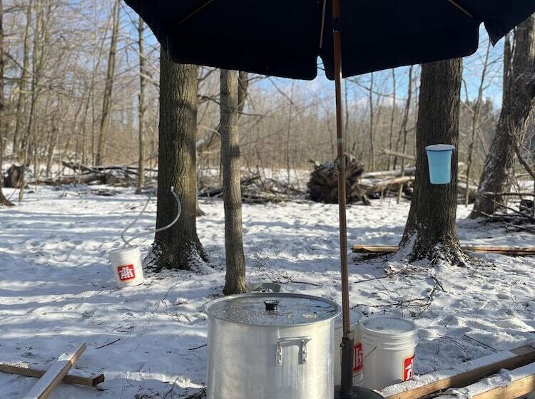 مبيت وإفطار Caledon Manor And Country Inn