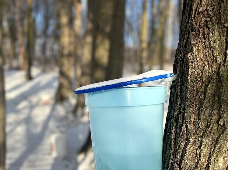 مبيت وإفطار Caledon Manor And Country Inn