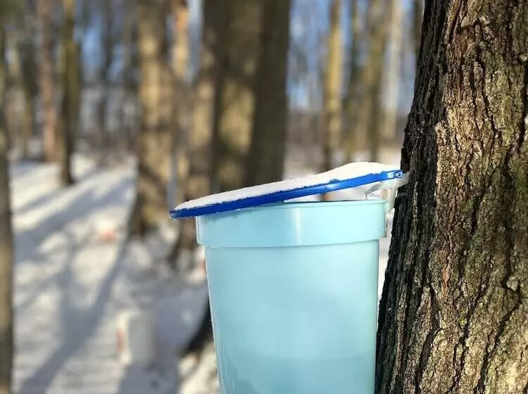 Aamiaismajoitus (B&B) Caledon Manor And Country Inn