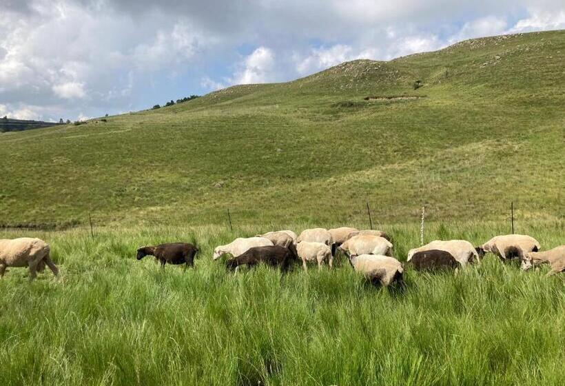 فندق Infinity At Enfin Estate