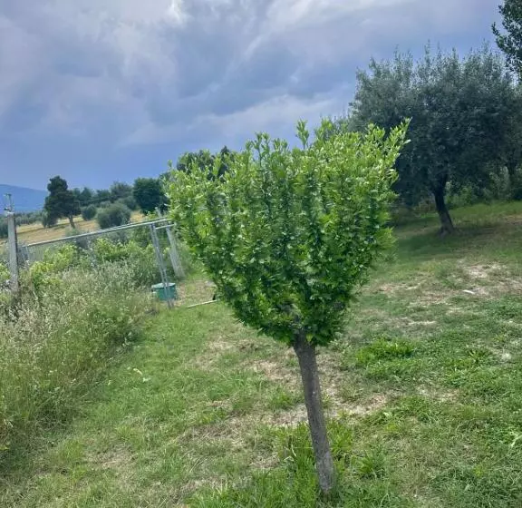 B&b Villa Anna