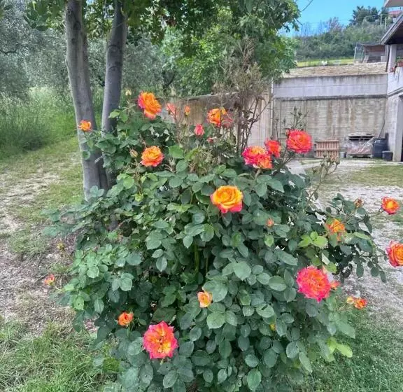 B&b Villa Anna