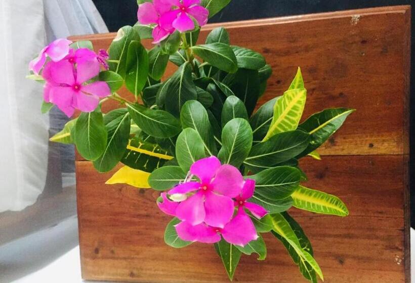 בית מלון כפרי Surf East Villa