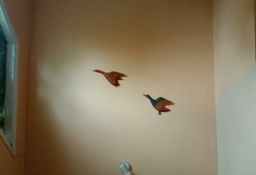 پانسیون Cabanas Y Hostal Tepual Puerto Montt