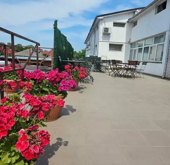 ペンション Vila Angelys