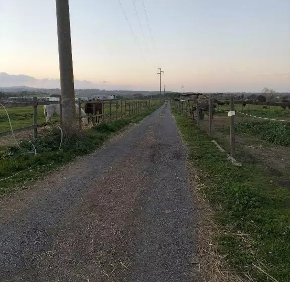ホテル Rod Ranch Livestock Stanza Double Room