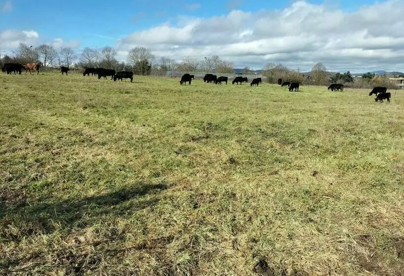 ホテル Rod Ranch Livestock Stanza Double Room