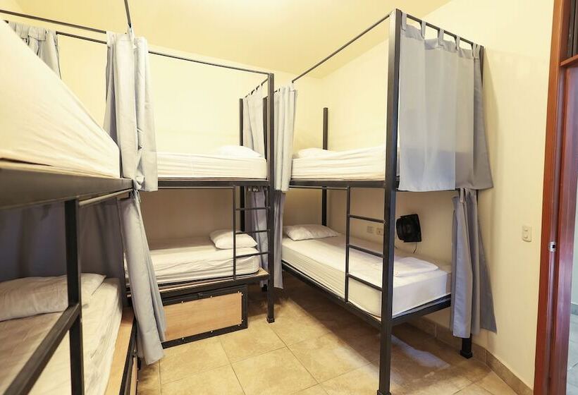 پانسیون Sohla Rooftop Hostel