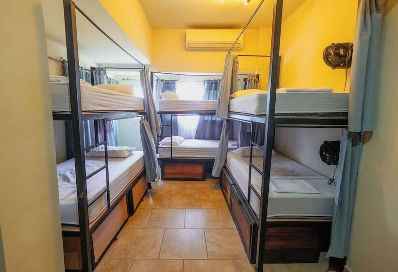 پانسیون Sohla Rooftop Hostel