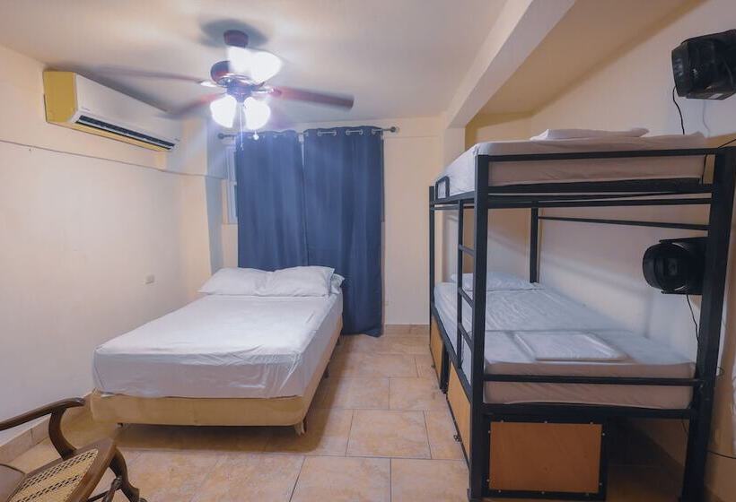 پانسیون Sohla Rooftop Hostel