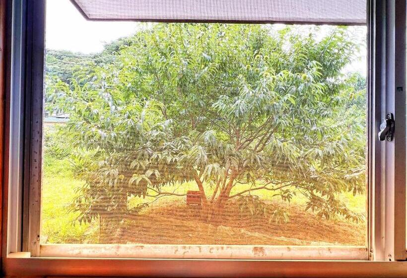 הוסטל Iriyama So