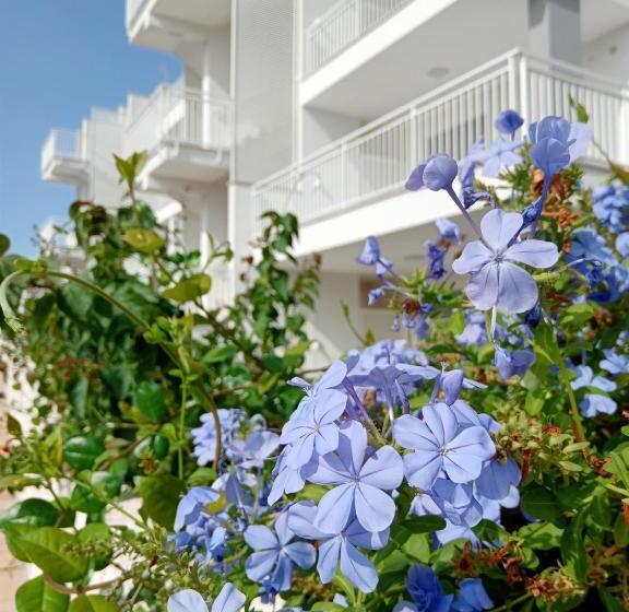 Color Dream Residence