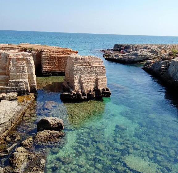 Color Dream Residence