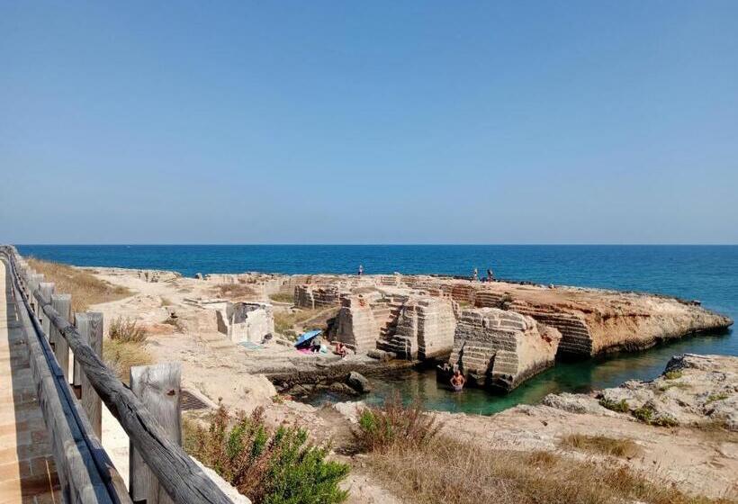 Color Dream Residence