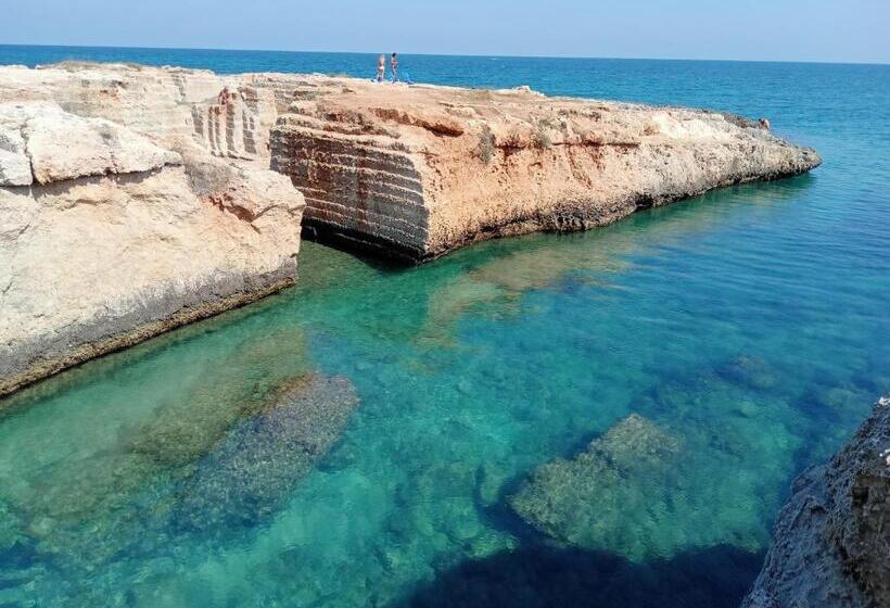 Color Dream Residence