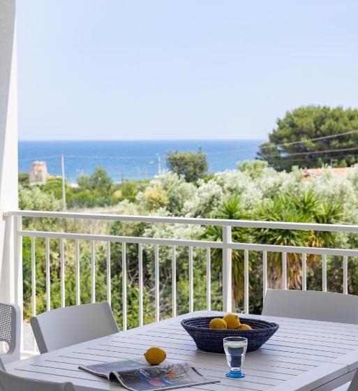 Color Dream Residence