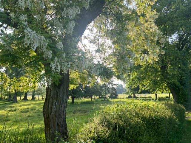 膳宿费 Le Domaine De La Gravette