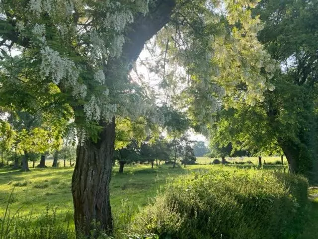 Majatalo Le Domaine De La Gravette