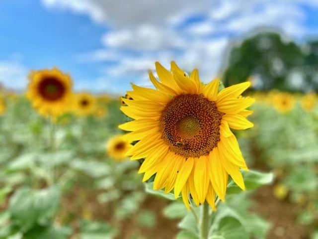 膳宿费 Le Domaine De La Gravette