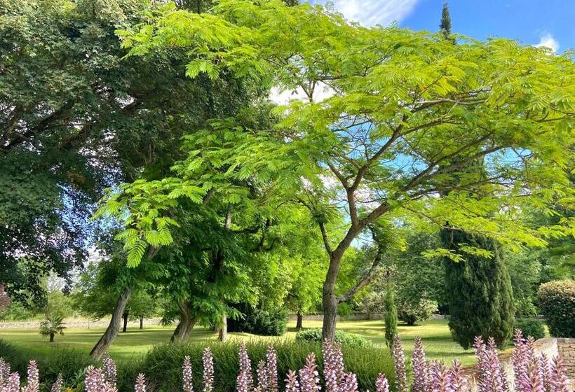 膳宿费 Le Domaine De La Gravette