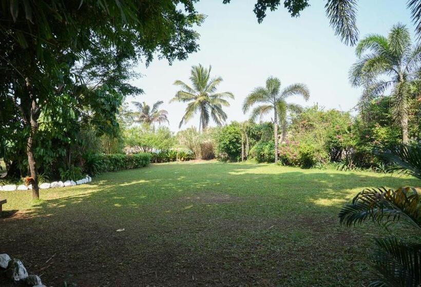 The Beach House Oceanfront A Boutique Resort Goa