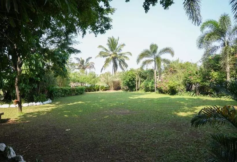 The Beach House Oceanfront   A Boutique Resort Goa