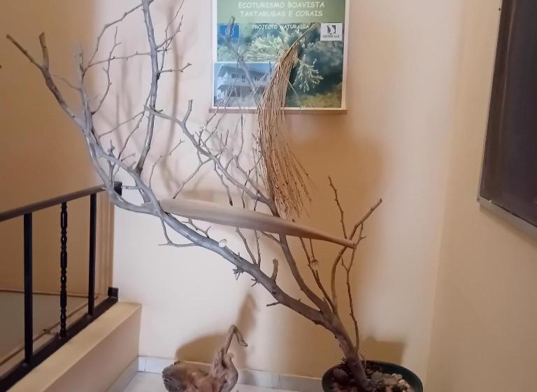 Bed & Breakfast Residencial Rosa Criola