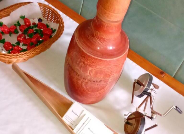 Bed & Breakfast Residencial Rosa Criola