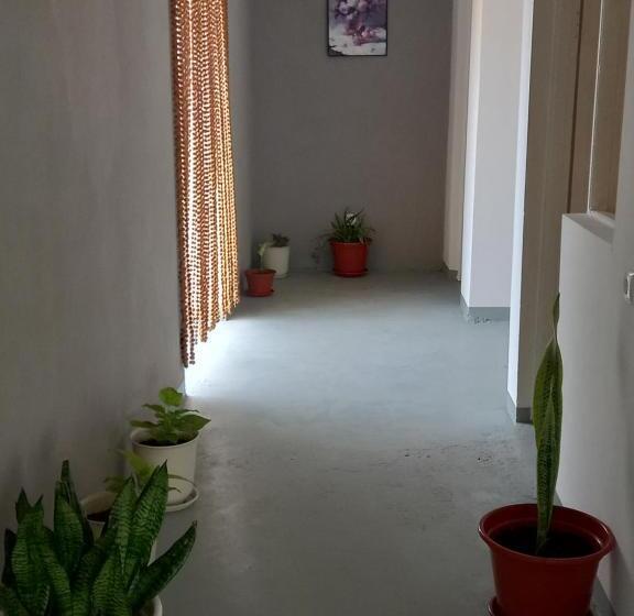 Bed & Breakfast Residencial Rosa Criola