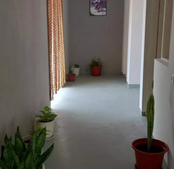 تختخواب و صبحانه Residencial Rosa Criola