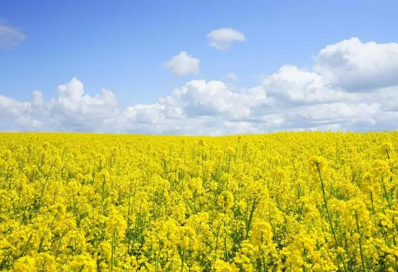 Aparthotel Museumshof