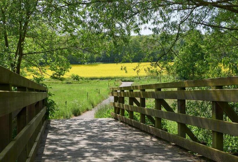 فندق Der Grischäfer