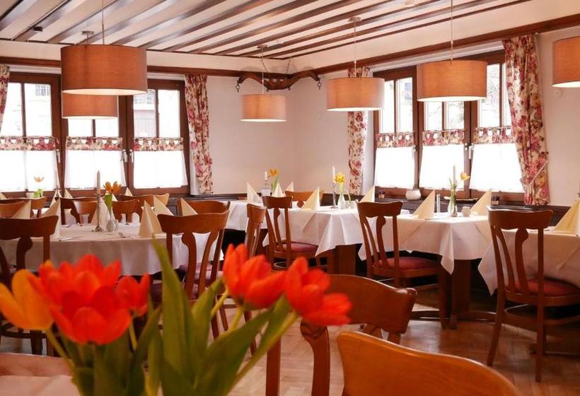 בית מלון כפרי Gasthaus Engel