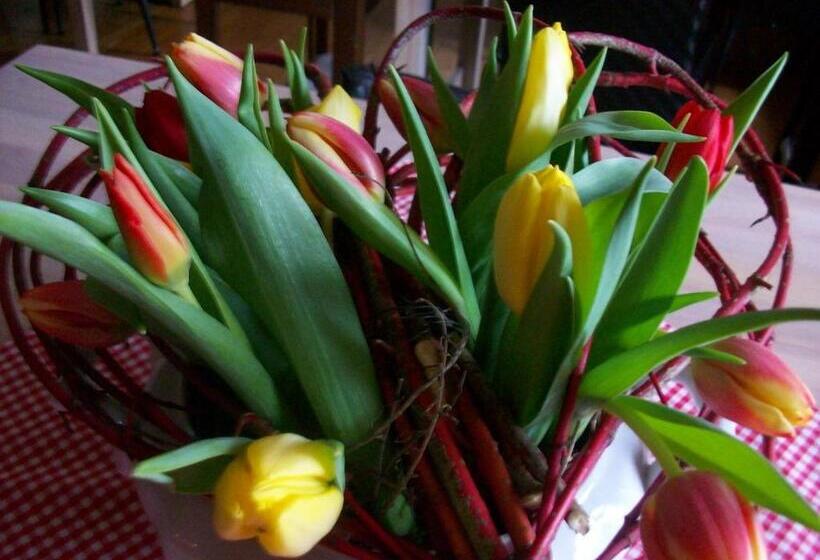 Hotel Gasthaus Zum Engel