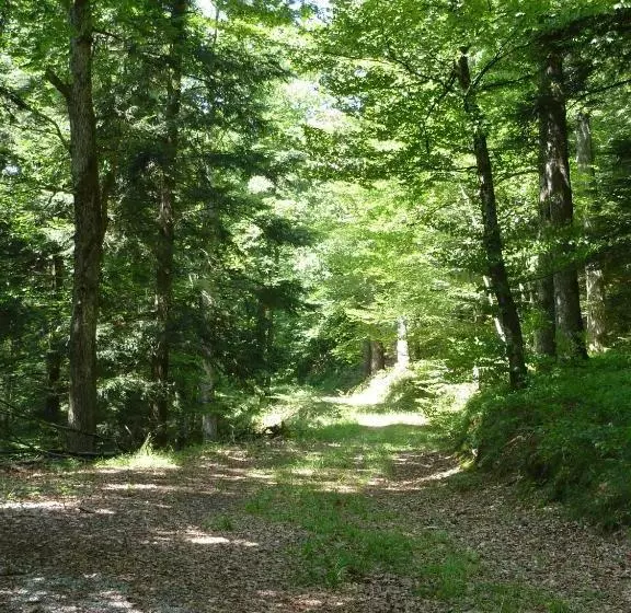 Hotelli Gasthaus Zum Schwanen