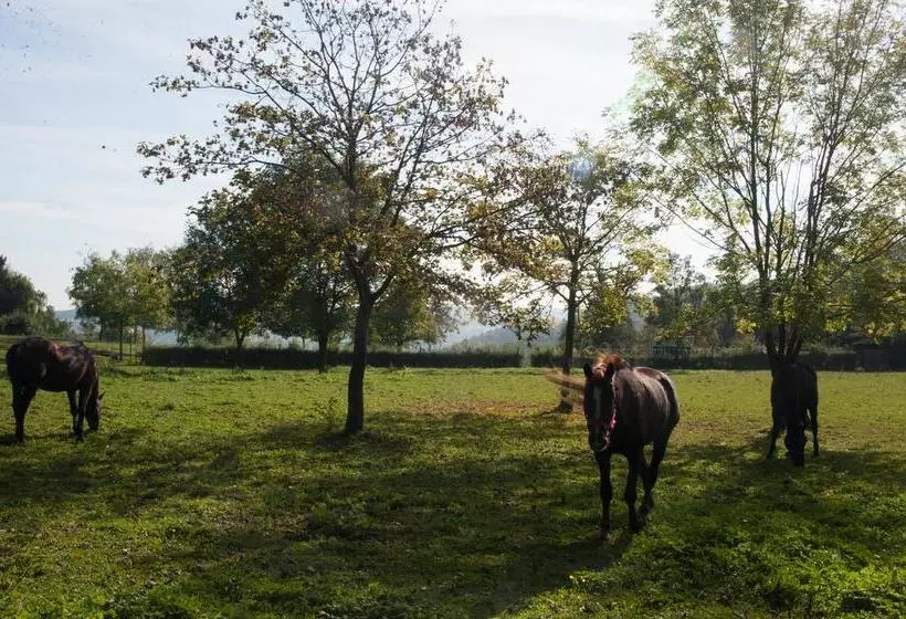 Hotelli Landgut Burg Gmbh