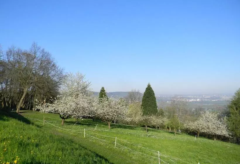 Hotelli Landgut Burg Gmbh