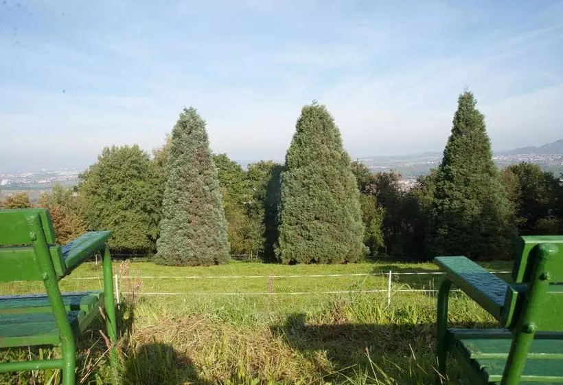 Hotelli Landgut Burg Gmbh