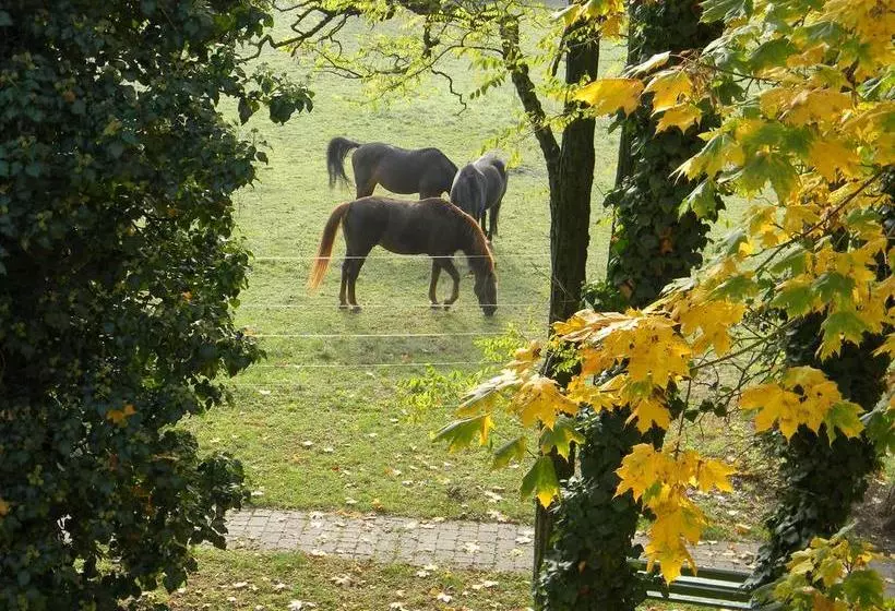Hotelli Landgut Burg Gmbh